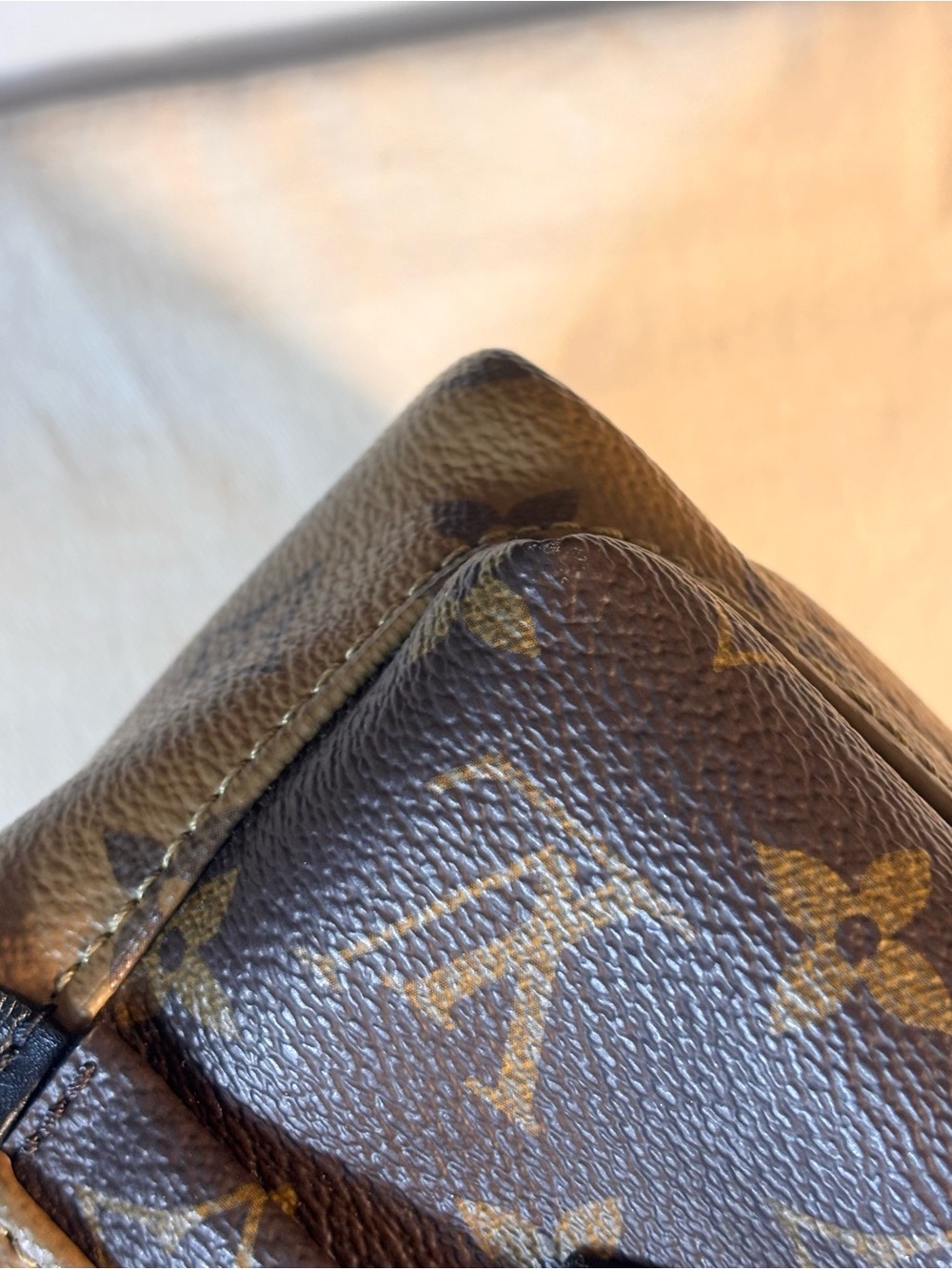 Louis Vuitton Reverse Palm Springs Mini - Picture 16 of 16